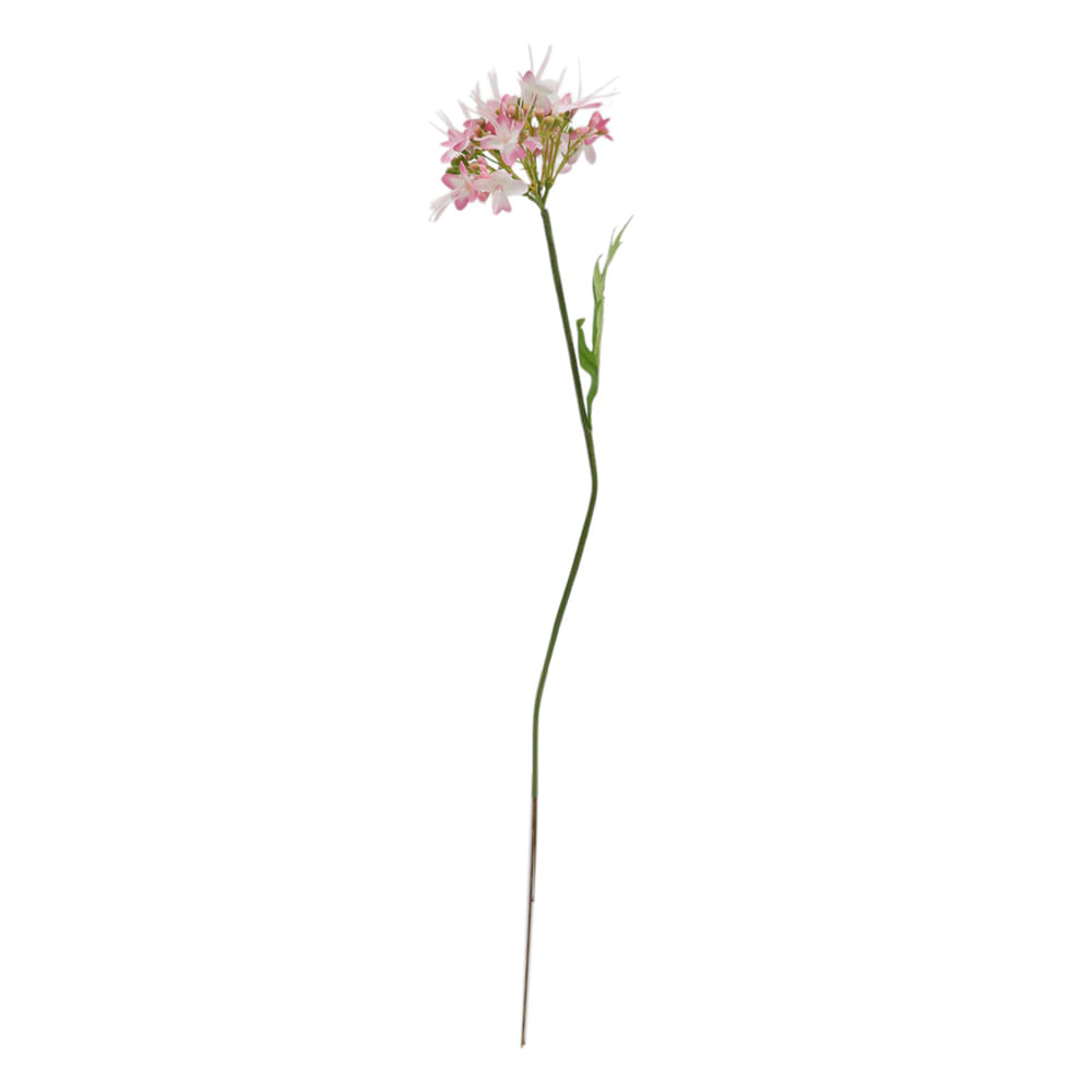 Rama de campanilla color 51 cm
