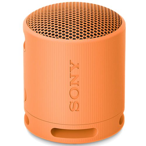 Bocina inalámbrica Sony SRS-XB100 portátil con Bluetooth